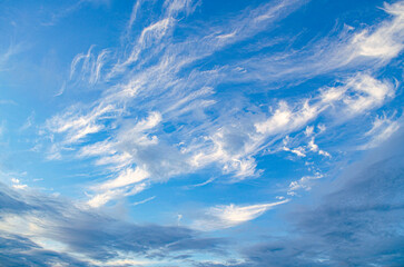 Wall Mural - Blue sky with cloud. Clearing day and Good weather in the morning of summer