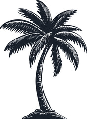 Wall Mural - illustration of a palm tree in black and white with rough sketch style. vector illustration