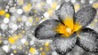 © Yonus - Sparkling Black and Gold Glitter Flower Blossom