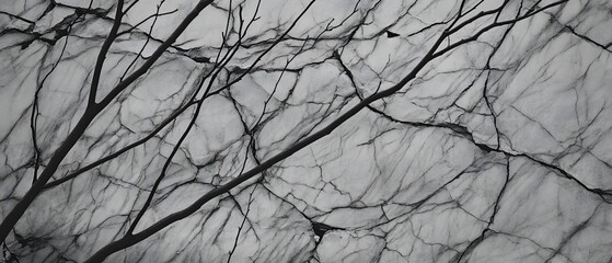 Wall Mural - Abstract Monochrome Branches on Cracked Stone Texture