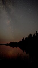Wall Mural - a vertical view of the milky way moving above a calm northern lake surrounded by evergreen trees wit