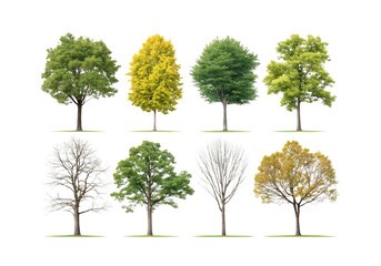 Vector art of set of eight trees in various seasons, including green foliage and bare branches, isolated on transparent background for design applications