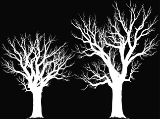 Wall Mural - two bare trees silhouettes isolated on black