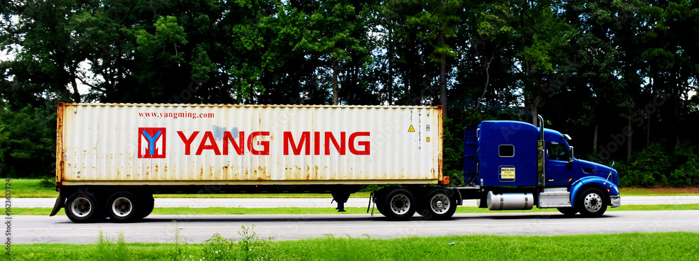 トレーラー　『YANG MING LINE』未使用 Truck with Yang Ming container on Interstate 95, North Carolina