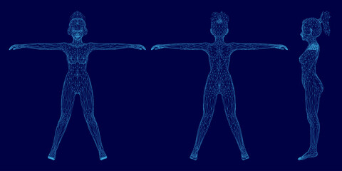 Poster - A 3D wireframe of a naked girl with outstretched arms, composed of intricate geometric shapes and lines. The design stands out against a smooth blue background, showcasing digital artistry.