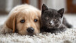 © nhannan - ai adorable puppy and kitten snuggling together on a cozy carpet in a warm living room setting