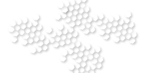 Wall Mural - abstract geometric white and gray banner design with hexagons, abstract soft white hexagon concept b