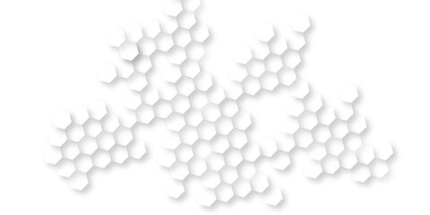 Wall Mural - abstract geometric white and gray banner design with hexagons, abstract soft white hexagon concept b