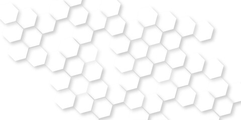 Wall Mural - abstract geometric white and gray banner design with hexagons, abstract soft white hexagon concept b