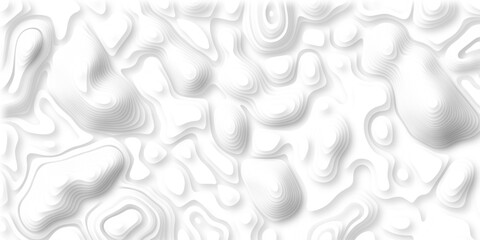 Poster - paper cut 3d render topography abstract, beautiful white Background. geometric map relief texture with curved layers and shadow. Realistic papercut decoration textured with wavy vector design.