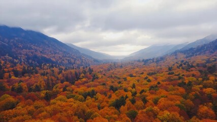 Wall Mural - Majestic Autumn Landscape in Mountain Valley for Nature Posters and Scenic Photography