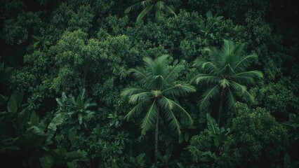 Wall Mural - nature adventure scene featuring dense green tropical woods, highlighting environmental care and jou