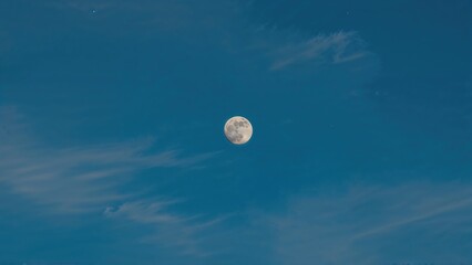 Wall Mural - the first quarter moon is called a half moon because sunlight lights up exactly half of its surface.