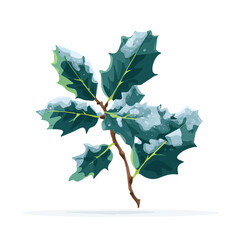 Mine Simple flat 2D icon of a holly branch with frost isolated on a transparent background, vector, flat design, animation design, simple flat 2D icon, minimalist design, clipart, illustration, eps