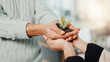 © peopleimages.com - Hands, plants and business people with support in office for sustainability, charity or social responsibility. Teamwork, conservation and corporate employees with sprout in soil for collaboration.