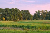 Widok na łąki o zachodzie słońca