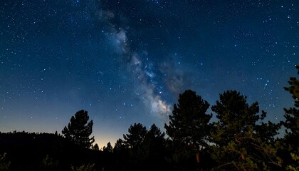 Milky Way arches over silhouetted trees under a dark blue night sky full of stars
