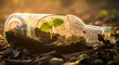 © Lius - New life emerges as a small plant grows inside a broken glass bottle, a symbol of hope and rebirth in the golden sunlight.