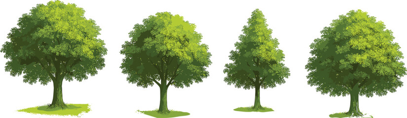 Set of four tree illustrations, diverse foliage shapes, green nature elements, landscape design, botanical graphics, seasonal, educational, eco-friendly, outdoor use