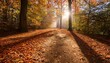 © Freya - sunlit shadows dance over fallen leaves scattered on a dirt path capturing the essence of a tranquil autumn day
