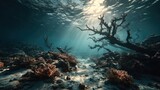 dead coral reef underwater, lifeless marine ecosystem, warming oceans