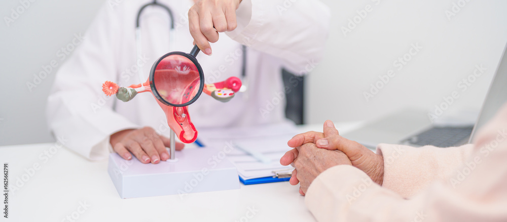 Woman patient consulting doctor with anatomy Uterus and Ovaries. Ovarian and Cervical cancer, Cervix disorder, Endometriosis, Hysterectomy, Uterine fibroids, Reproductive system and Pregnancy concept