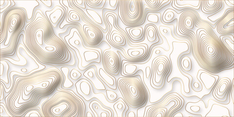 Poster - paper cut 3d render topography abstract, beautiful white Background. geometric map relief texture with curved layers and shadow. Realistic papercut decoration textured with wavy vector design.