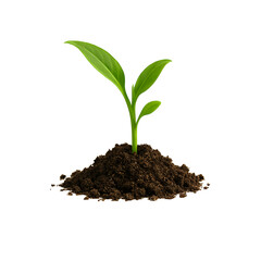 Wall Mural - A Green Sprout Emerging from Soil Against a PNG background