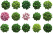 © Ashik Creatives - Top view tree collection including green and pink canopies, ideal for landscape architecture, urban planning, garden design, and nature visualization