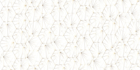 Abstract of simple GOLD line triangle pattern geometric background .white background creative and geometric shape with white luxury pattern .GOLD white geometric background with low poly triangle