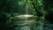 © Shahzaib - A gentle river meandering through a dense, verdant forest, sunlight streaming through the leaves, casting dappled shadows on the water, a sense of serenity and the gentle flow of life, Photography, sh
