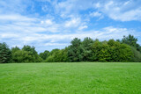 Sky blue,cloud over Green grass field lawn with forest tree and sunlight in summer. Serene Nature landscpe green meadows in spring park, Beautiful panoramic for background, web banner