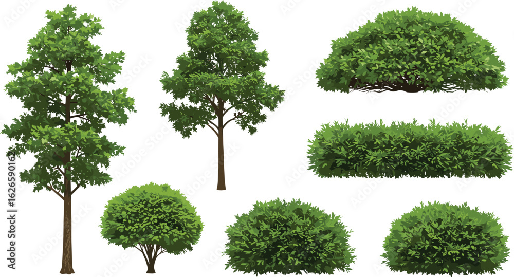 Collection of realistic green trees and lush shrubs for outdoor scene ...