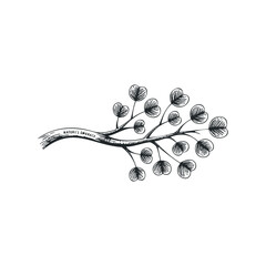Wall Mural - hand drawn branch with round leaves on white background