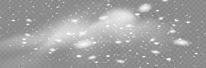 Wall Mural - Snowfall, snowflakes in different shapes and forms. Snowflakes, snow background. Christmas snow for the new year.