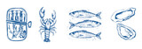 Mediterranean italian fish, sardines, lobster vintage line drawing, decorative sketch Hand Drawn on Transparent Background