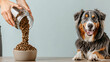 © photo for everything - Dog food pouring into a bowl, with a happy dog lying nearby. A moment of anticipation and joy for the furry friend, set against a clean backdrop.