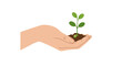 © David - Hand holding seedling with soil symbolizing growth and environmental care. Vector illustration