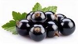 black currant isolated on white
