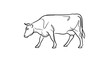 © mfnmedia - Simple black and white line drawing of a cow in profile view.