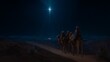 © Joseph - The three wise men are going to the house where the star illuminated the birth of baby Jesus.