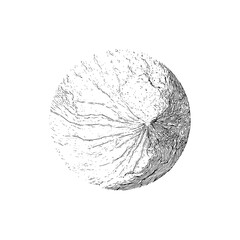 Poster - Abstract black and white circle art with intricate line patterns and organic texture design element drawing