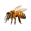 © MDARMANKHAN - Detailed macro view of a honey bee with intricate wings and fuzzy body isolated on transparent background