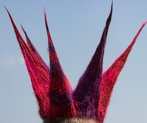 Wall Mural - A person with purple and pink hair has a crown on their head