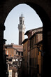 Torre del Mangia framed by arched shadows of Siena’s medieval alleys, conveying depth and contrast between architectural silhouette and afternoon light in preserved urban heritage.