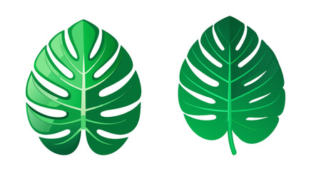 Flat monstera leaf vector illustration design