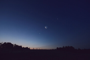 Wall Mural - morning old moon with stars, planets and rural countryside tree silhouettes.
