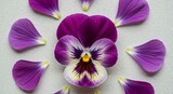 Purple pansy flower petals arranged in a circular pattern