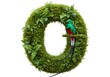 © MD - Resplendent Quetzal on a lush Green Wreath of Moss and Ferns a tropical paradise and vibrant colors