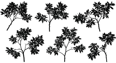  Silhouette Tree Branches with Leaves Isolated on White Background for Design Elements